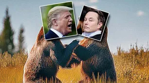 Consecuencias criollas indeseadas de la pelea Trump-Musk (Clarín sonríe)
