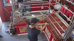 Un hombre puso a prueba a su "perro guardián" en un asalto y su reacción fue viral