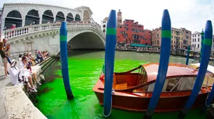 Misterio en Italia: revelan por qué el agua del Gran Canal de Venecia apareció teñida de verde