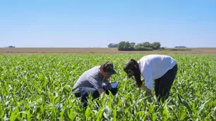 Expoagro: “Los bancos estamos muy activos buscando acompañar a los productores”