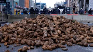 Agricultores europeos tiran cosechas enteras de papas por falta de compradores