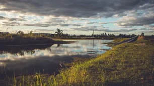 Conocé Concordia: el destino entrerriano que conquista con su historia, naturaleza y eventos