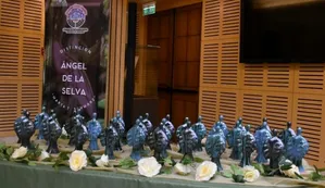 Misiones: 33 mujeres fueron distinguidas con el premio "El Ángel de la selva"