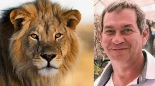 Murió un empresario alemán tras ser atacado por un león en un safari en Namibia