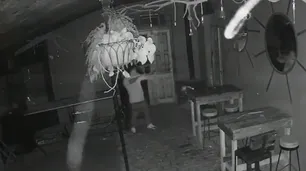 Un policía atacó a balazos a los clientes de un bar porque lo habían echado