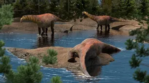 Descubren en Neuquén una nueva especie de dinosaurio que vivió hace 95 millones de años