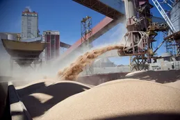 La liquidación de dólares del campo fue récord en el primer semestre