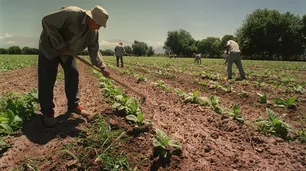 Trabajadores rurales cobrarán un bono de fin de año y levantan el paro
