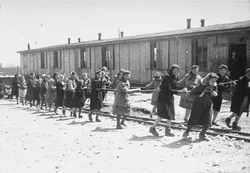Agustino Fontevecchia a 80 años de la liberación de Auschwitz: “Hay que recordar que esto sucedió, y que puede volver a suceder”