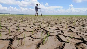 El fenómeno de La Niña podría desaparecer en abril, aliviando las sequías