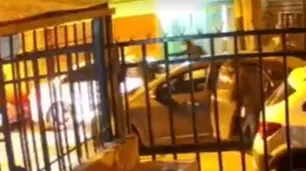 Violento tiroteo en Ramos Mejía: dos policías heridos cuando se resistieron a un asalto que terminó con un ladrón muerto