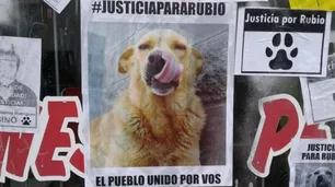 Arrastró a un perro con su camioneta hasta matarlo y recibió un fallo judicial histórico