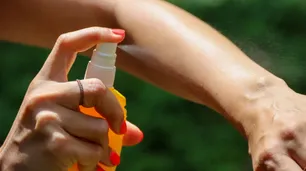 Dengue: Alternativas naturales a los repelentes químicos