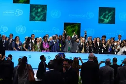 Diez puntos fundamentales para enfrentar la crisis climática que estableció la ONU en Suecia