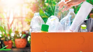 Ser sustentables, la verdadera rebeldía