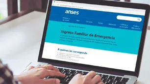 ¿Incidieron las ayudas gubernamentales?