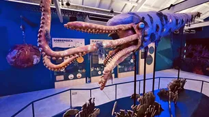 El Ecoparque porteño inaugura su nuevo espacio educativo: la Estación Oceánica