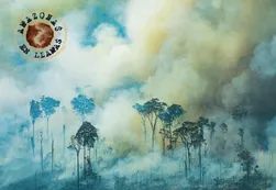 Austria rechaza el acuerdo Unión Europea - Mercosur por incendios en el Amazonas