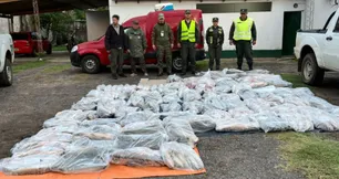Mega decomiso en Corrientes: Gendarmería secuestró 950 kilos de pescados transportados sin habilitación