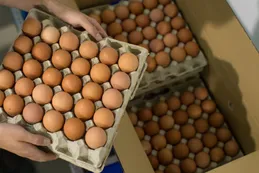 La carrera multimillonaria para reemplazar el huevo de gallina
