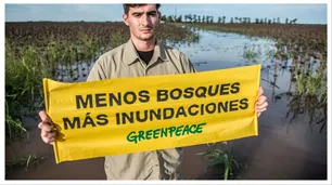 Greenpeace llama a detener la deforestación y restaurar ecosistemas para garantizan un futuro habitable