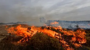 Puerto Madryn: Se registran focos activos y alertan por fuertes vientos