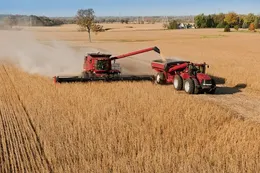 Los precios de los commodities agrícolas entre la mayor demanda china y la sequía