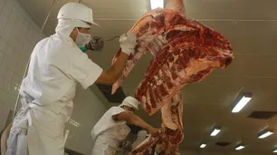 "La carne que se venderá con descuento es el 3% del consumo de los argentinos"
