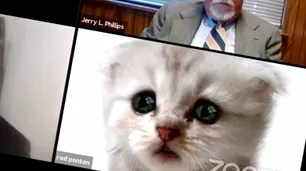 "No soy un gato", aclaró un abogado en una audiencia judicial por Zoom