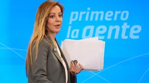 Flavia Royón no descartó la quita de la concesión a Edesur: las razones por las que el Gobierno no fue a fondo