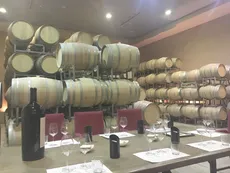 Mendoza: Viaje a Luján de Cuyo, la tierra del Malbec