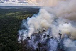 Incendios en Amazonas: 120 días de tregua