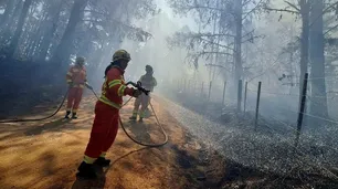 Incendios en Córdoba: se destinará más de 15.6 mil millones para restaurar los daños ¿cómo es el plan?