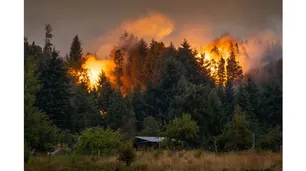 Manejo del Fuego: por cada $5 usados en 2023 se ejecutó $1 en 2024
