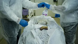 América aún no llegó al pico de la pandemia y se vienen dos años de brotes recurrentes