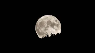 Calendario lunar de agosto: cuándo termina la luna llena y llega el cuarto menguante