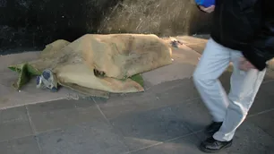 La ola polar y una movida solidaria reavivaron una vieja polémica