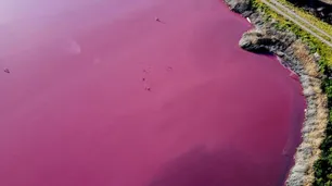 El lago Corfo de Chubut quedó teñido de rosa por la contaminación de la industria pesquera