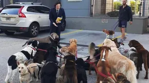 Periodistas denunciados por Javier Milei pidieron que repare sus dichos donando alimento para perros