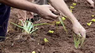 América Latina es la región con mayor tendencia en pérdida de biodiversidad