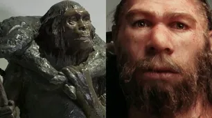 La increíble razón por la que se habrían extinguido los Neandertales