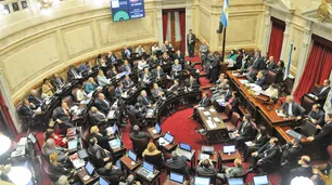 Por qué decayó la calidad de los senadores y diputados