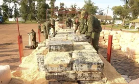 Juicio récord en Corrientes: en tres meses condenaron a un camionero que llevaba 3.500 kilos de marihuana