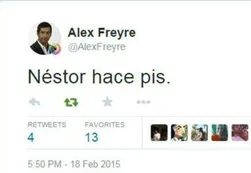 Freyre volvió a provocar en Twitter: "Néstor hace pis"