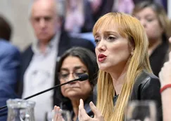 Murió un sobrino de la senadora Anabel Fernández Sagasti mientras comía un asado