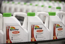 Nuevo revés judicial: Monsanto deberá pagar más de US$ 2 mil millones a una pareja