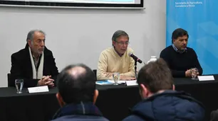 "Distorsivas" y "de campaña electoral", las reacciones del campo a las medidas del Gobierno para el sector