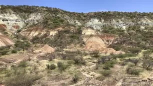 Impactante hallazgo: encuentran proteína en dientes fósiles