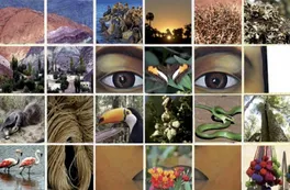 Día Mundial del Ambiente, compromiso de todos