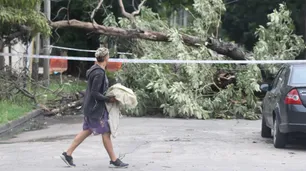 El temporal en La Plata: más de 800 árboles y 100 postes caídos